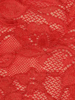 Shapewear Sculpting Lace Bodysuit or Midi Skirt or Shrug